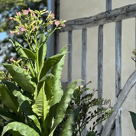 Vakantiehuis Les Saisons D'aubry