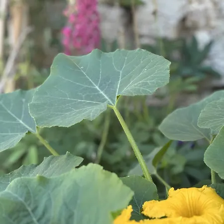 Les Saisons D'aubry